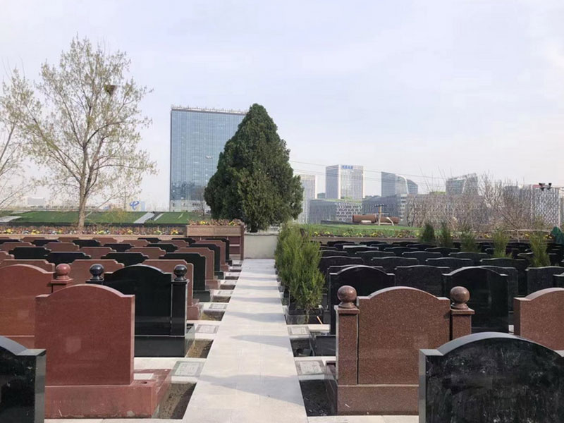 地理位置与基本格局