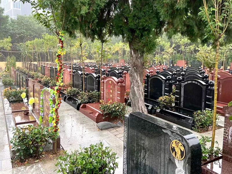 市场与用户口碑