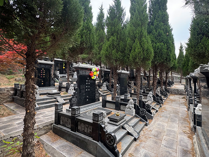 传统与现代结合的风水格局