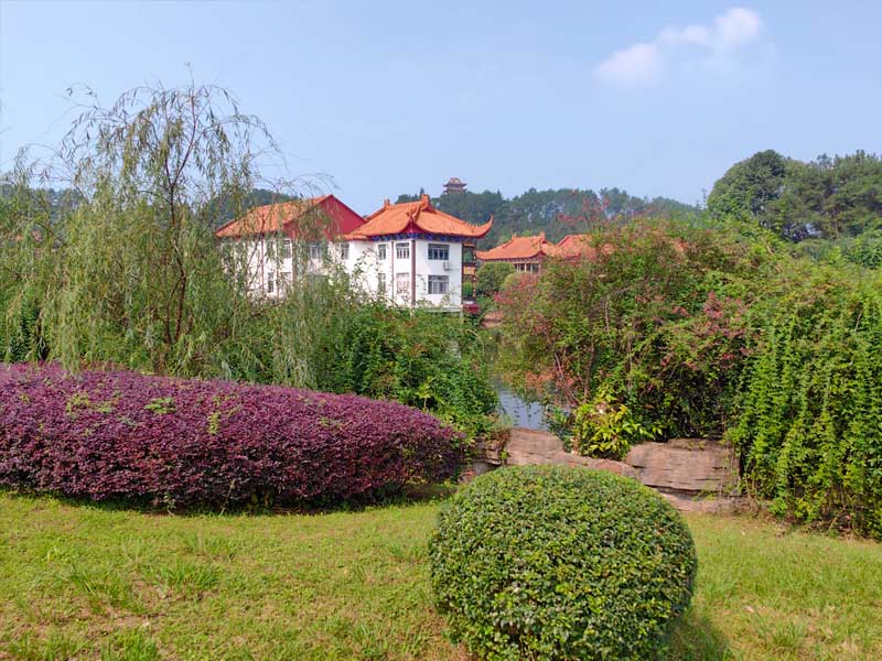 选择公墓的建议