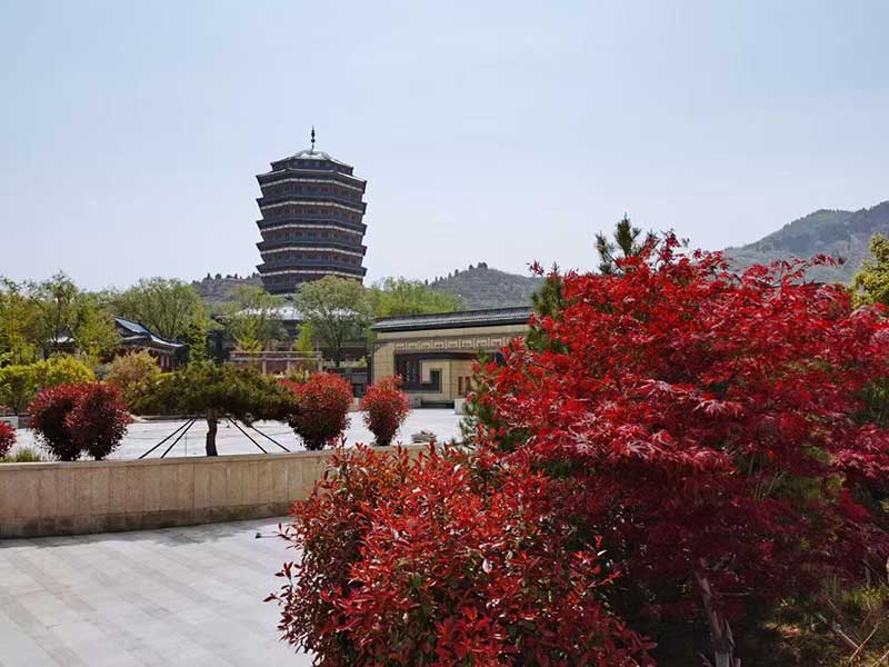 园区景观 园区景观