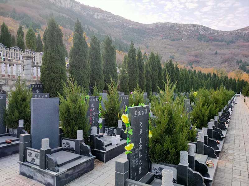 独特的四季主题分区设计