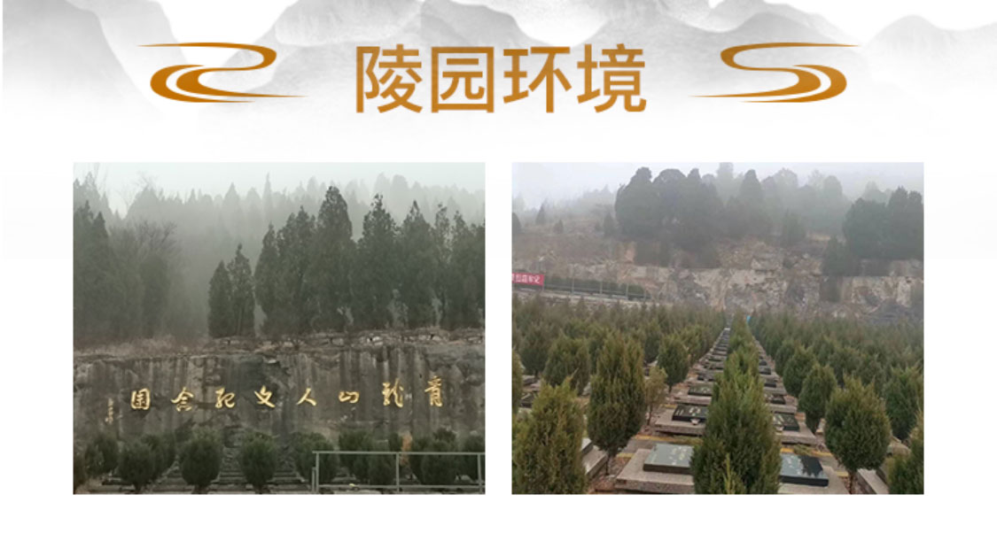 陵园环境