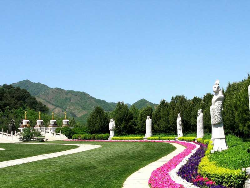 传统墓位稳中有升，生态葬大幅降低门槛