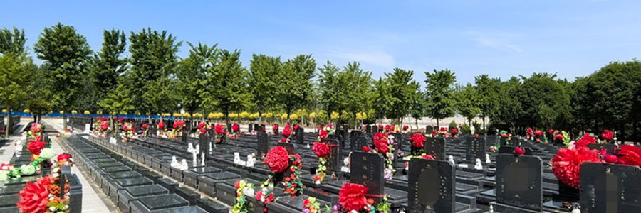 热门陵园价格对比