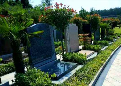 给家人的最后一份体面