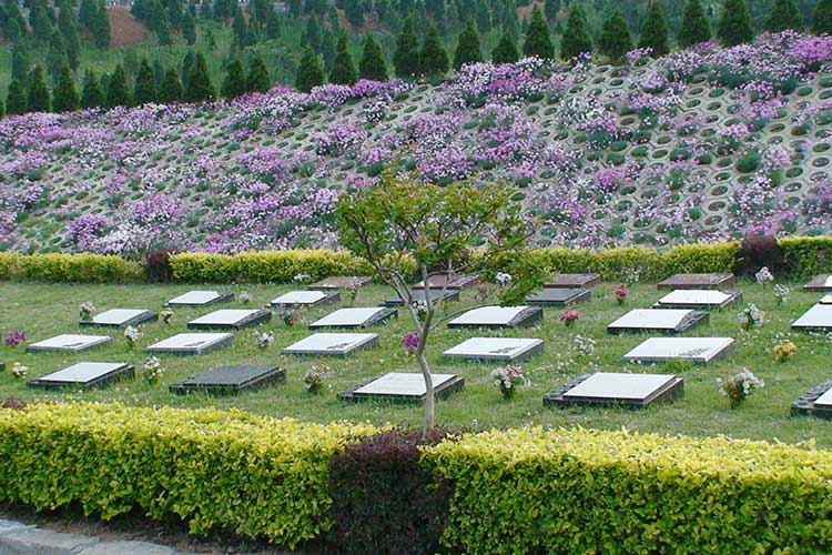 恭德陵园（寿南山）