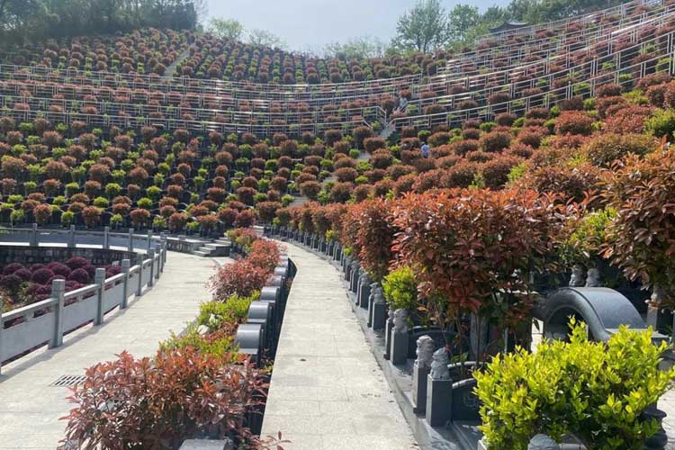 青龙山公墓