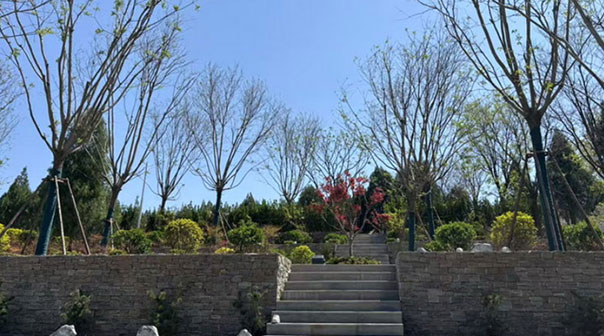 济南多子山生命文化公园 济南多子山生命文化公园