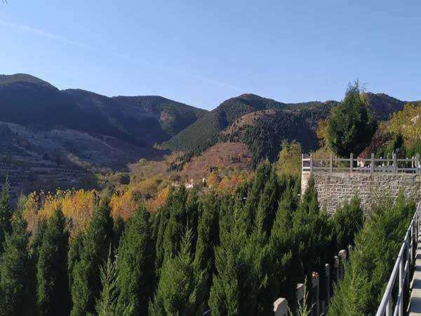 福舜园公墓景观