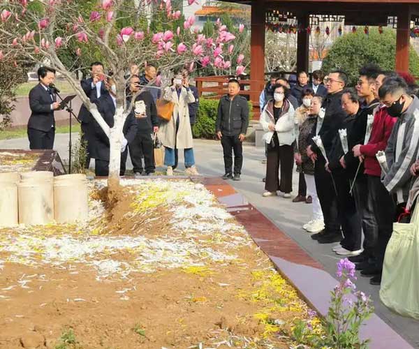 为什么花坛葬被认为是“简单”？