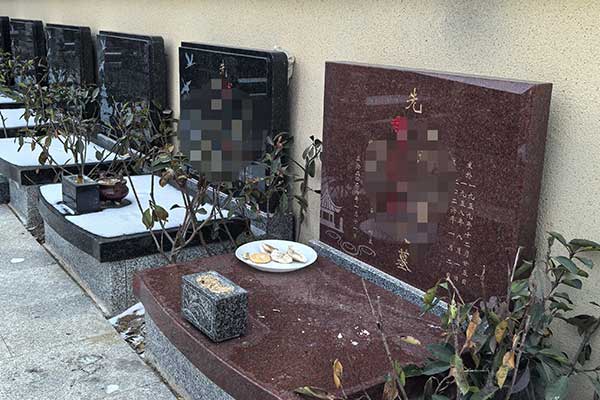 墓型分区与多样化葬式