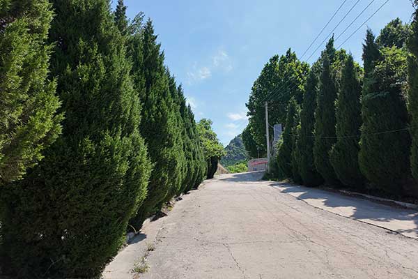 玉顶山公墓