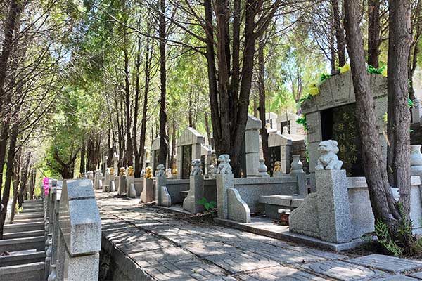 玉顶山公墓环境碑型