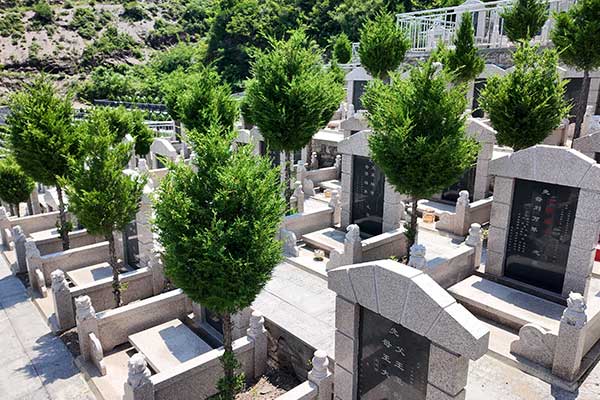 墓区规划与葬式选择