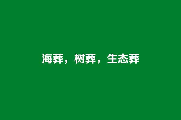 海葬树葬生态葬 海葬树葬生态葬