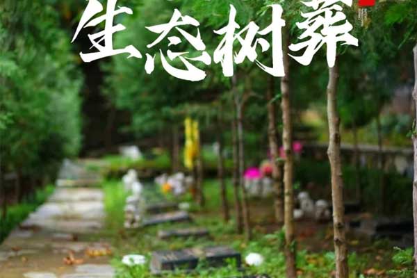 济南生态树葬 济南生态树葬