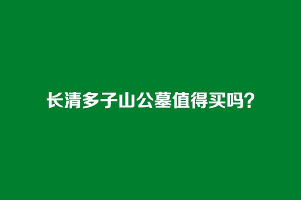 长清多子山公墓值得买吗？