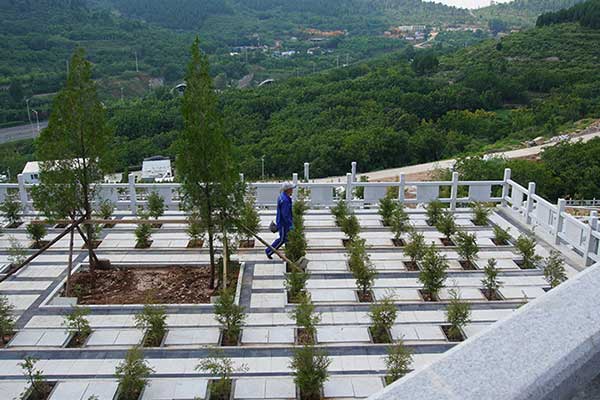济南官山陵园生态安葬 济南官山陵园生态安葬