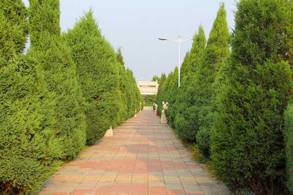 官山陵园